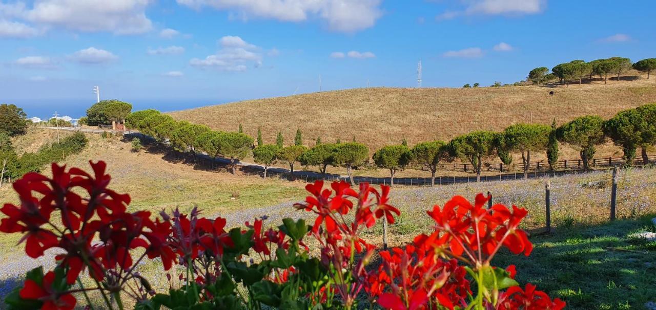 Hotel Tenuta Dell'Argento Resort Civitavecchia Zewnętrze zdjęcie