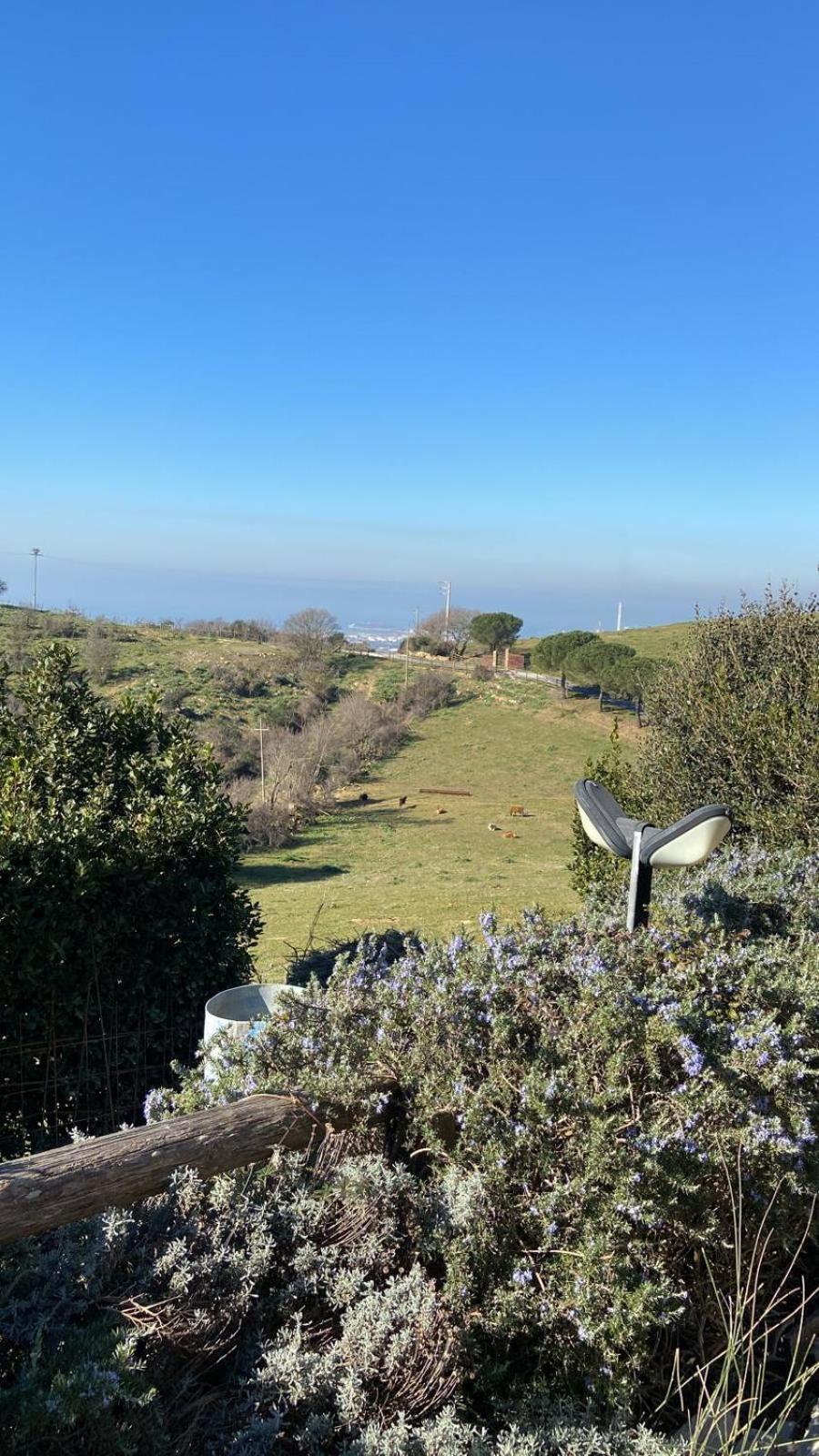 Hotel Tenuta Dell'Argento Resort Civitavecchia Zewnętrze zdjęcie
